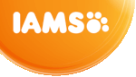 Iams Iams