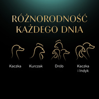 SHEBA Selection Select Slices Gevogelte Smaakzakjes 120x85 g - nat volledig voer voor volwassen katten, in saus