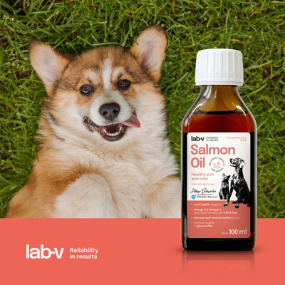 Lab-V 100% Zalmolie voor honden en katten van alle leeftijden 100ml Koudgeperst