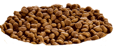 Hill's SP Science Plan Feline Kitten Kip 3kg 