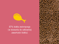 JOSERA JosiCat Kat 10kg