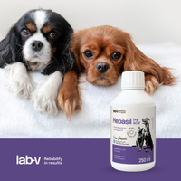 Lab-v Hepasil Hond &amp; Kat preparaat ter verbetering van de leverfunctie voor honden en katten 250 ml