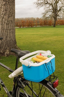 Curver 10l Toeristen Koelkast