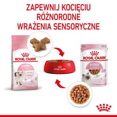 ROYAL CANIN Kitten Instinctive in Saus 12x85g