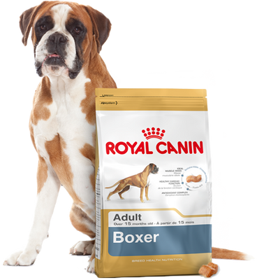 ROYAL CANIN Boxer Adult 12kg