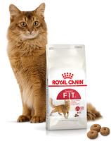 ROYAL CANIN Fit 32 2kg