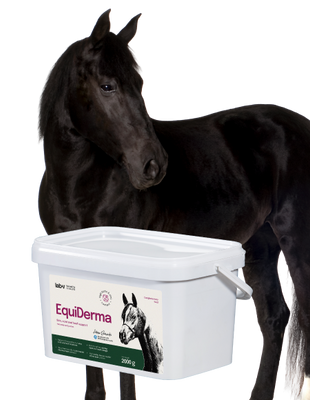 Lab-v EquiDerma - Aanvullend diervoeder voor paarden en pony's ter ondersteuning van huid-, vacht- en hoefconditie 2kg