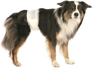 Trixie Luiers voor Volwassen Honden L-XL 12st