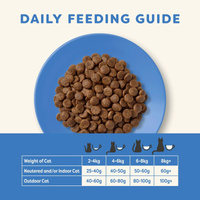 Applaws Cat Adult Oceaanvis met Zalm Kattenvoer 2x6kg