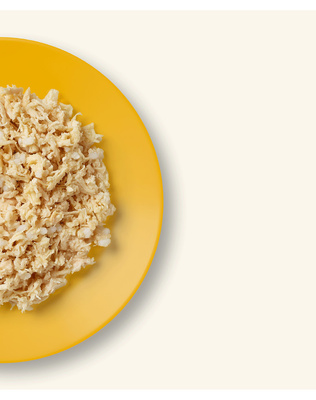 Applaws Multipack Kattenbouillon Blikjes 12x70g