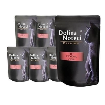 Dolina Noteci Premium voor Katten Zalmfilet in Saus 10x85g
