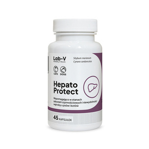 LAB-V Hepato Protect - Leverfunctieondersteuning voor honden en katten 45 capsules