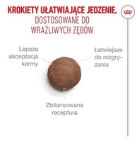 ROYAL CANIN Ageing 15+ 4kg droogvoer voor volwassen katten vanaf 15 jaar