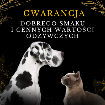 Lab-V 100% Zalmolie voor honden en katten van alle leeftijden 500ml Koudgeperst