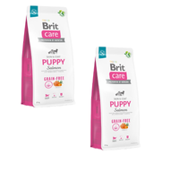 BRIT CARE Hond Graanvrij Puppy Zalm 2x12kg