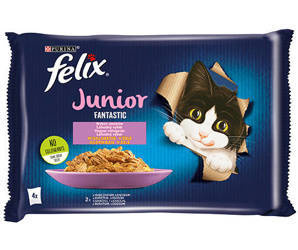 Felix Fantastic Junior Kip & Zalm Gelei 4x85g