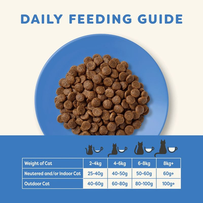 Applaws Cat Adult Oceaanvis met Zalm Kattenvoer 2x6kg