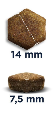 Eukanuba Daily Care Adult Sensitive Digestion 12kg + GRATIS een verrassing voor je hond!