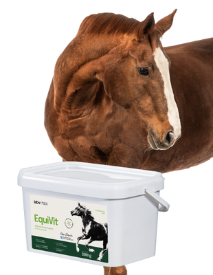 Lab-v EquiVit - dieetvoer voor paarden, ondersteunt immuniteit en gewrichten 2kg 