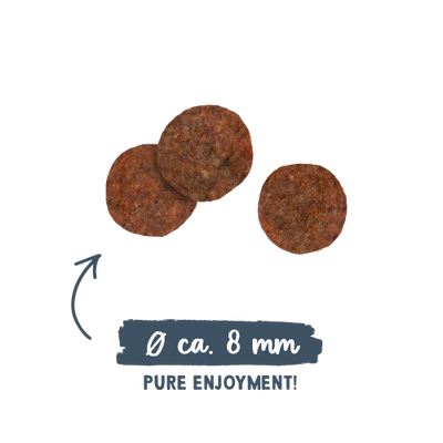 BOSCH Sanabelle Adult Forel 8kg