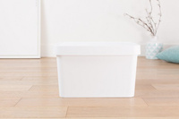 Curver Infinity Bin met Deksel Wit 17l