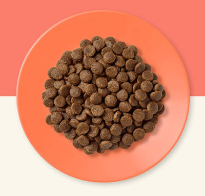 APPLAWS Complete Dry Adult Chicken With Salmon 7,5kg + een verrassing voor de kat