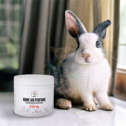 PETS HOME AIR NEUTRALIZER voor interieurs met citrusgeur 170g