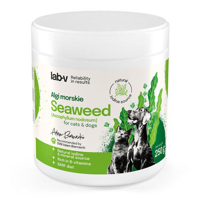 Lab-v Mariene algen - een natuurlijke bron van jodium en mineralen voor honden en katten 400 g