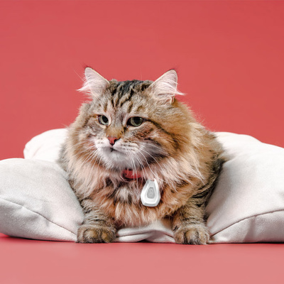 Inmoless Ultrasoon vlooien- en tekenbestrijdingsmiddel voor huisdieren Inmoless Pet - Geel