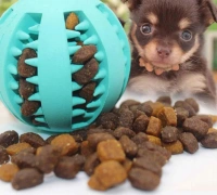 NUXIE Hondentraktatiebal 5cm