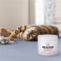 HUISDIEREN LUCHTGEURSENSOR NEUTRALIZER met zeebriesgeur 170g