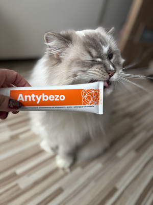 Lab-v Antibezo - pasta om het uitdrijven van haarballen uit het spijsverteringskanaal van de kat te vergemakkelijken en te voorkomen 100 g