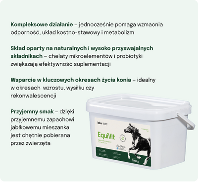 Lab-v EquiVit - dieetvoer voor paarden, ondersteunt immuniteit en gewrichten 2kg 
