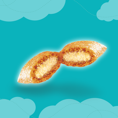 DREAMIES Zalm Kattensnack 60g 