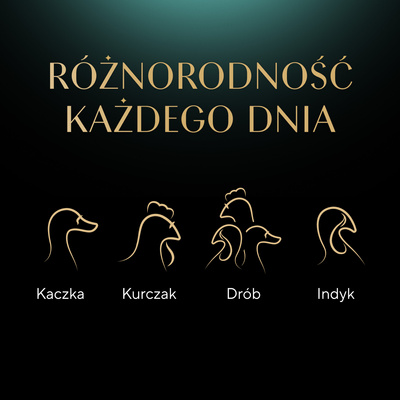 Sheba Sachet Delicacy In Jelly gevogeltesmaken 4x85g