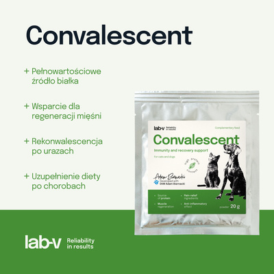 LAB-V CONVALESCENT dieetvoer voor honden en katten 20 g