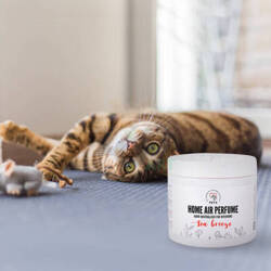 HUISDIEREN LUCHTGEURSENSOR NEUTRALIZER met zeebriesgeur 170g