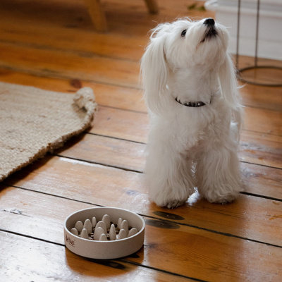 DINGO- kom van bamboevezel - vertragen - 1430 ml  