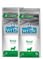 Farmina Vet Life Canine Renal 2x12kg