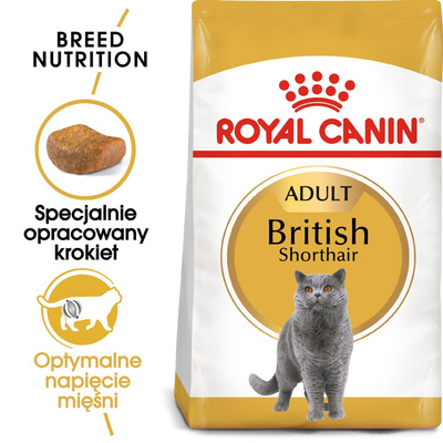 ROYAL CANIN British Shorthair Adult 4kg