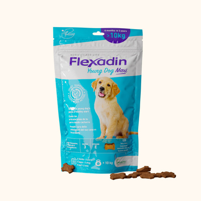 VETOQUINOL Flexadin Jonge Hond Maxi 60 pods