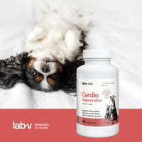 LAB-V Cardio Regeneration - Cardiovasculaire ondersteuning voor honden en katten 90 capsules