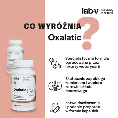 LAB-V Oxalatic - Ondersteuning bij steenvorming bij kattenoxalaat 90 capsules