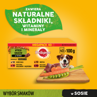 PEDIGREE Adult zakje 40x100 g - Gemengde smaken met groenten in saus, volledig natvoer voor volwassen honden