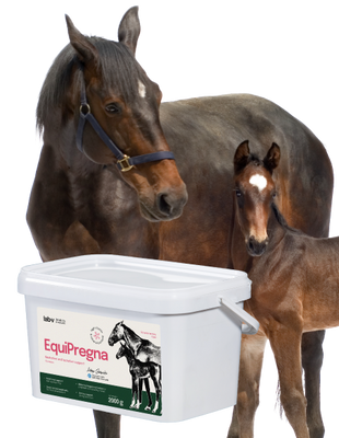 Lab-v EquiPregna - Aanvullend diervoeder voor drachtige en lacterende merries ter ondersteuning van de dracht, foetale ontwikkeling en melkproductie 2kg 