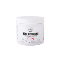 PETS HOME AIR NEUTRALIZER voor interieurs met citrusgeur 170g