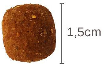 ROYAL CANIN Mature Consult Medium Dog 10kg