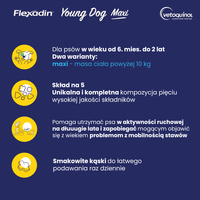 VETOQUINOL Flexadin Jonge Hond Maxi 60 pods