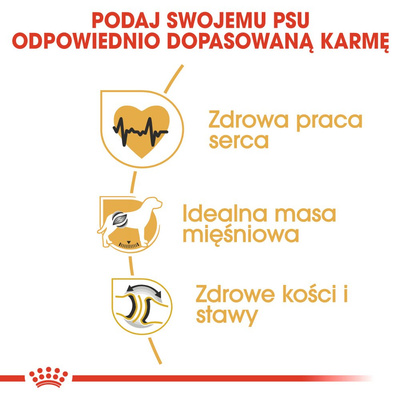 ROYAL CANIN Rottweiler Adult 12kg 