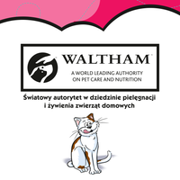 DREAMIES Kattensnack met rundvlees 60g 